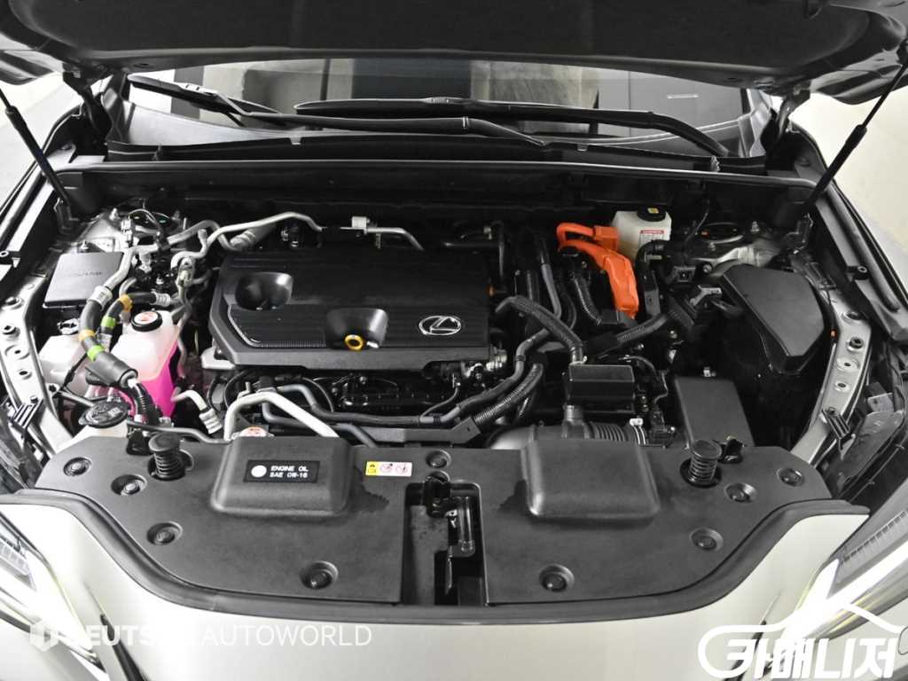 Lexus NX NX 450h+ F Sport thumbnail 6